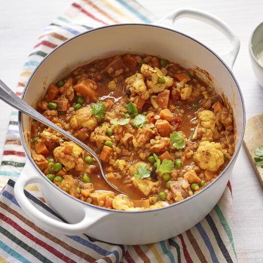 Shemin's Vegetable Dhansak